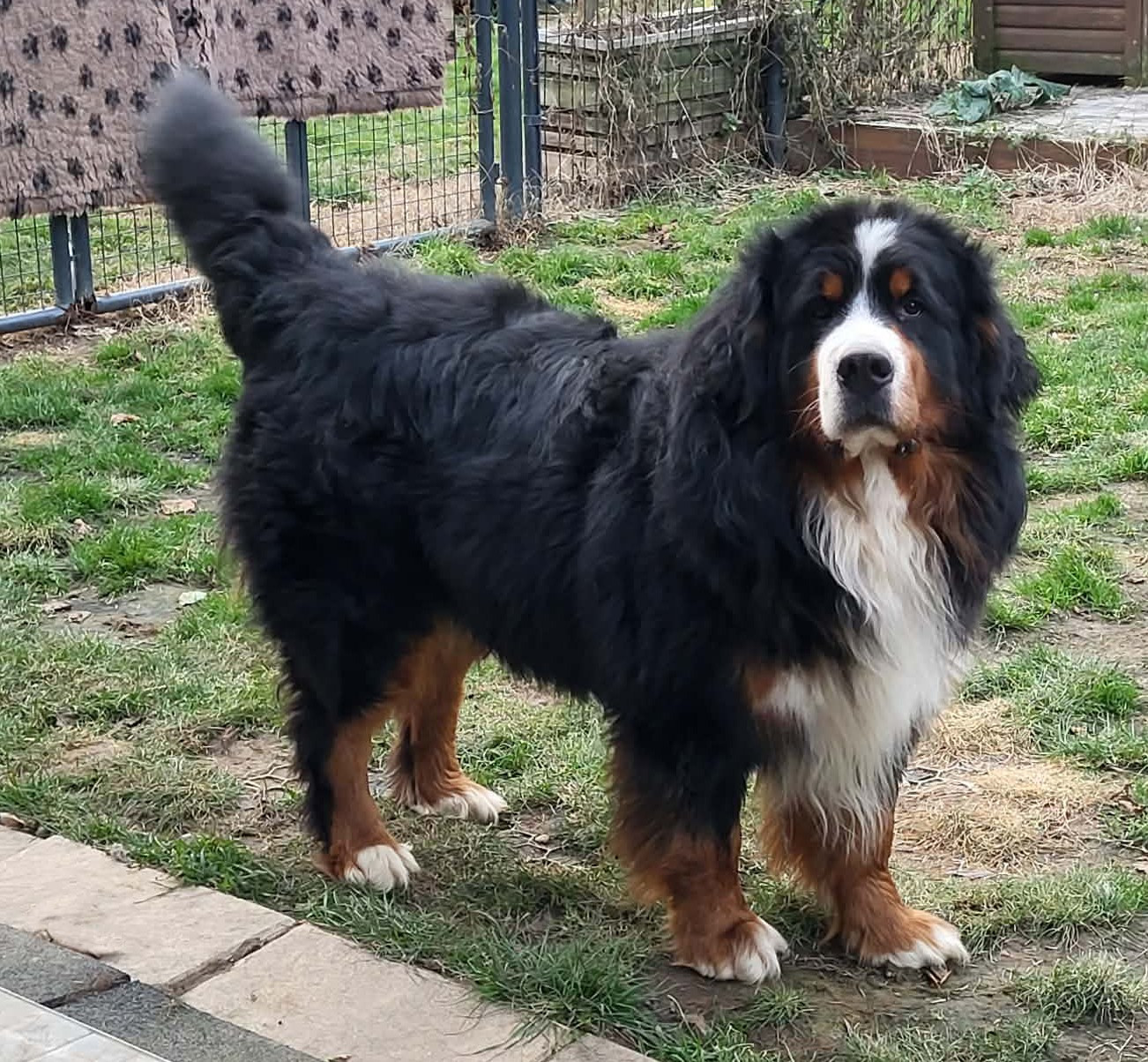 Publication : de l'empreinte de Jais 