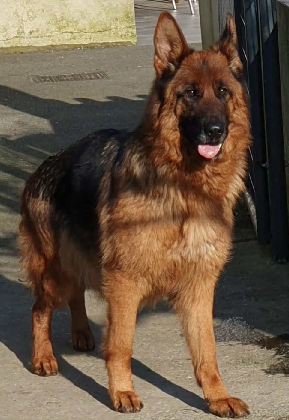 Publication : des cascades de lusy 