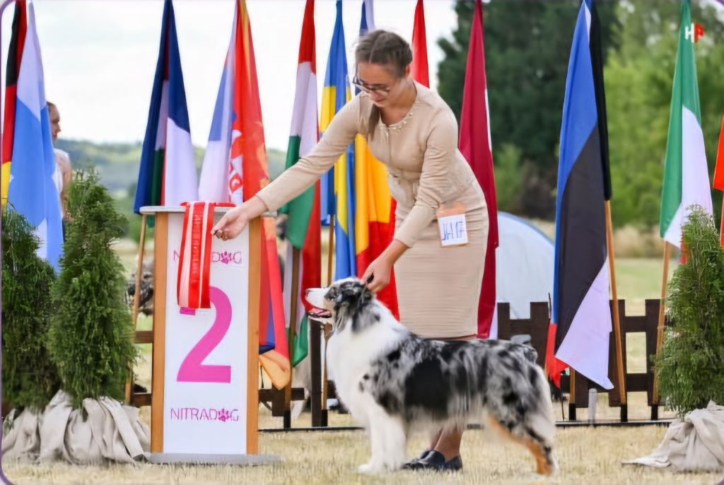 CH. Biss aurora austalis chrystal light