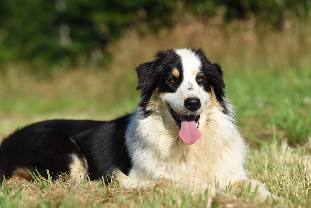 Publication : De La Rivière D’Hayley 