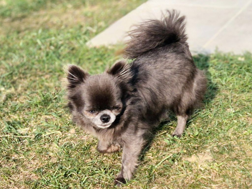 Publication : Des Minis Bombes 