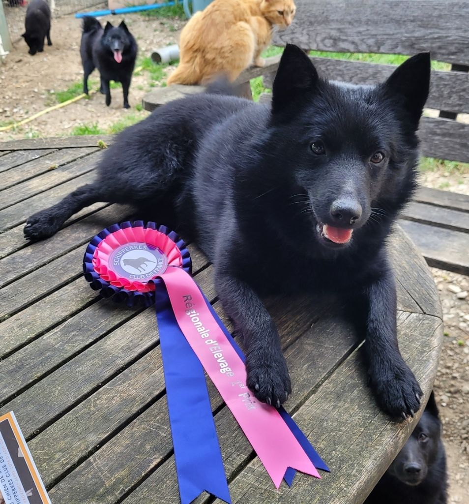 Publication : des Grandes Voies