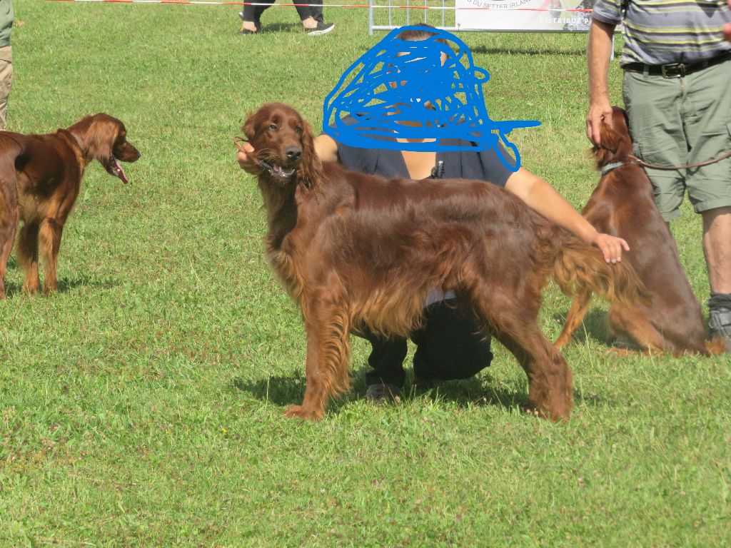 Publication : Des Bords Du Clain