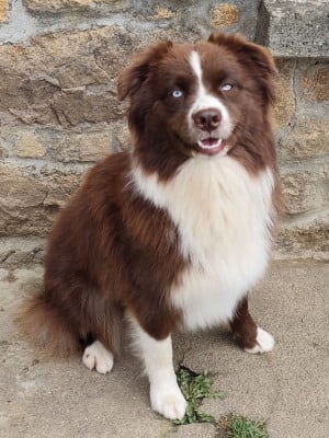 image de Vibre en harmony