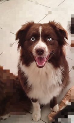 Vibre en harmony De La Terre Des Menhirs