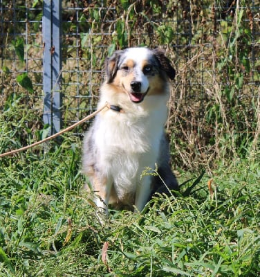 Showgirl des Jardins de Becky