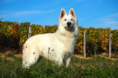 image de Roc'h ar hon