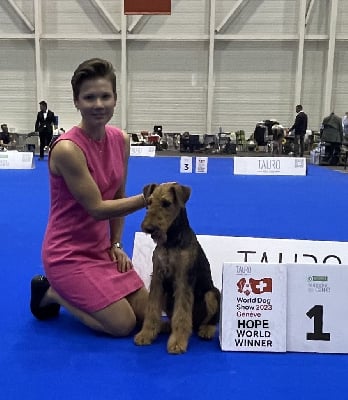 Étalon Airedale Terrier - Alagaesia Under the sky