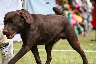 kendystyle Besame mucho