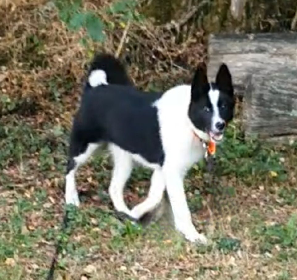 Publication : Du Clos De Rivet Auteur : GUYENNOT BRUNO