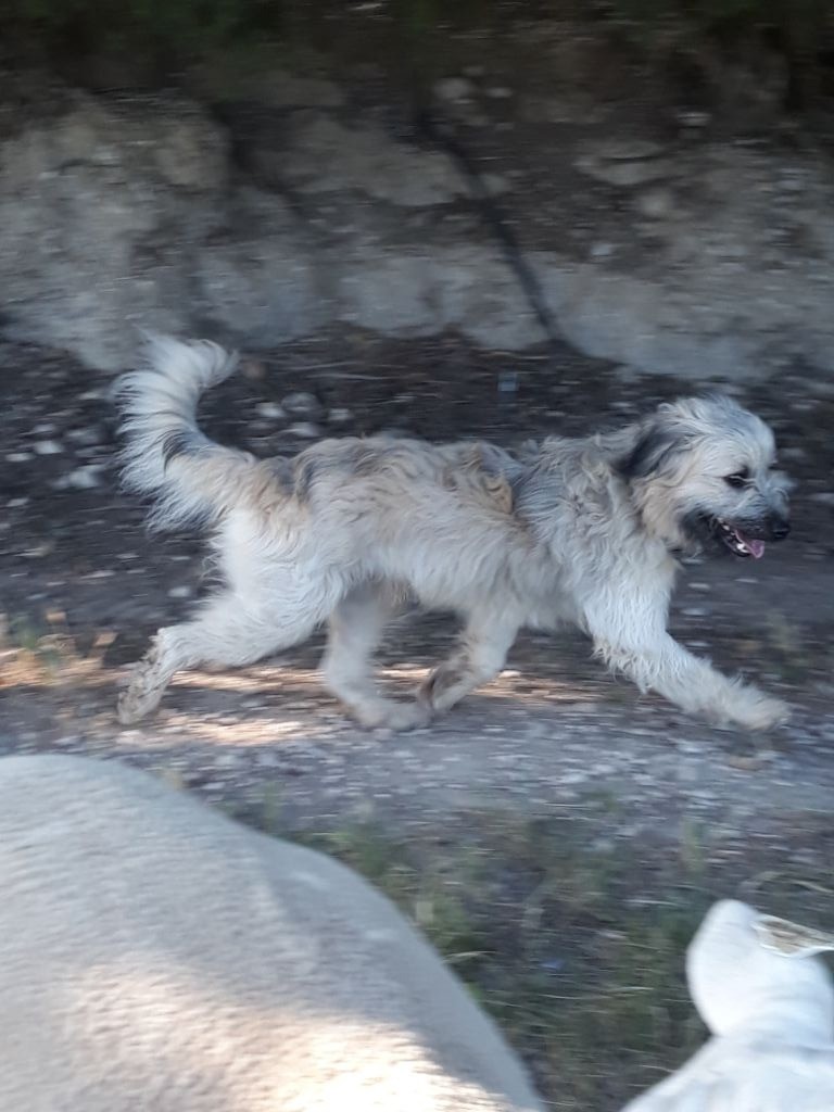 Publication : de Font d'Andiol 