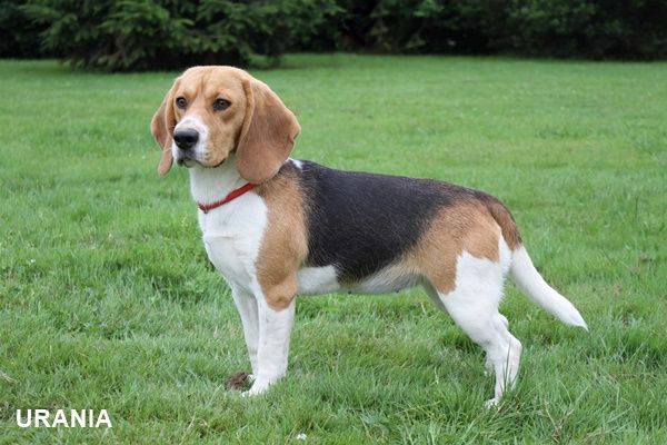 Publication : du clos du bonheur