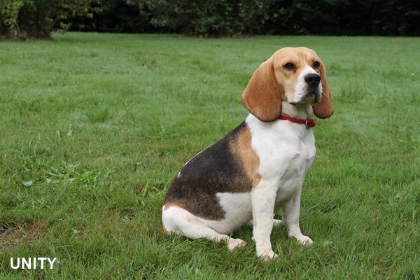 Publication : du clos du bonheur