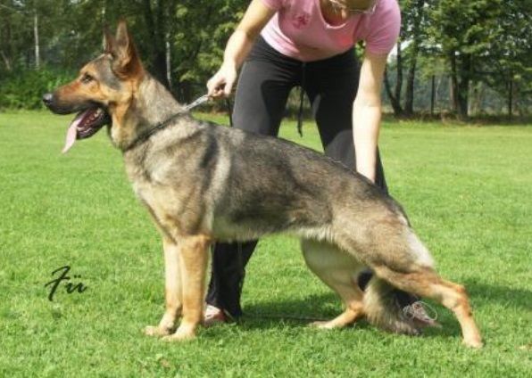 Publication : Du Creux Céleste