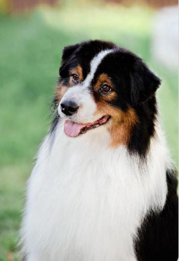 Halloween jack'o lantern Of crystal lake