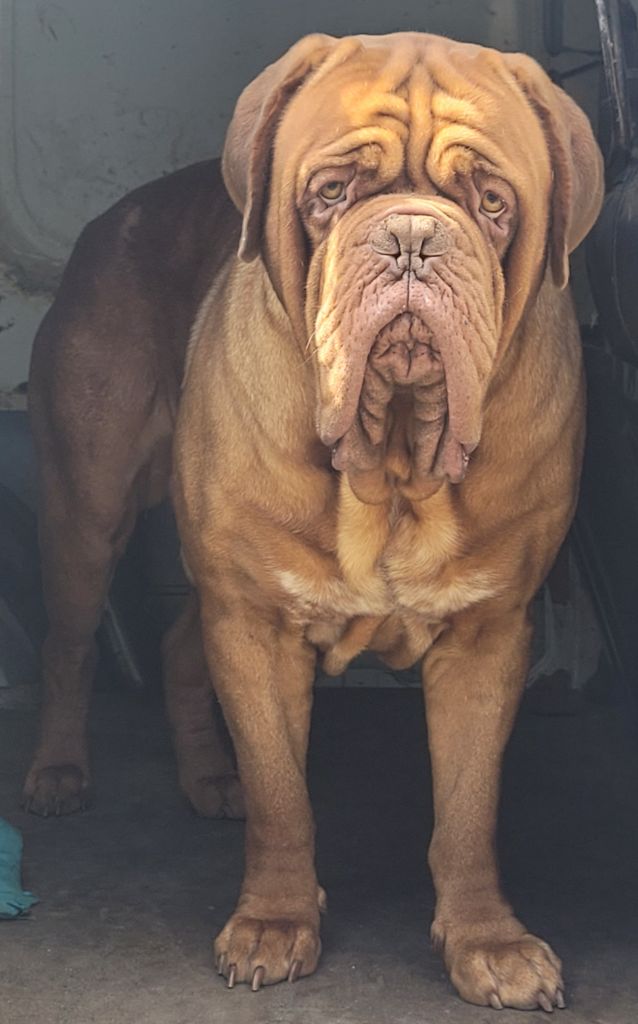 Publication : de la vallée de Saint Georges 