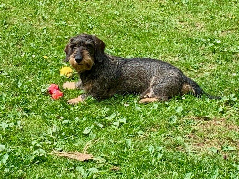 Publication : de la roselière solitaire 