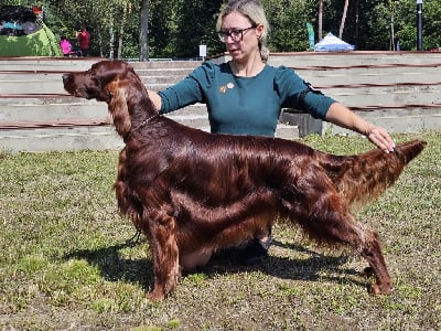 image de Hunting navel conor