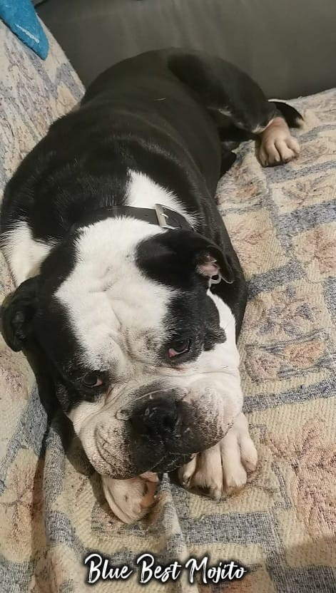 Publication : Deamon Style 