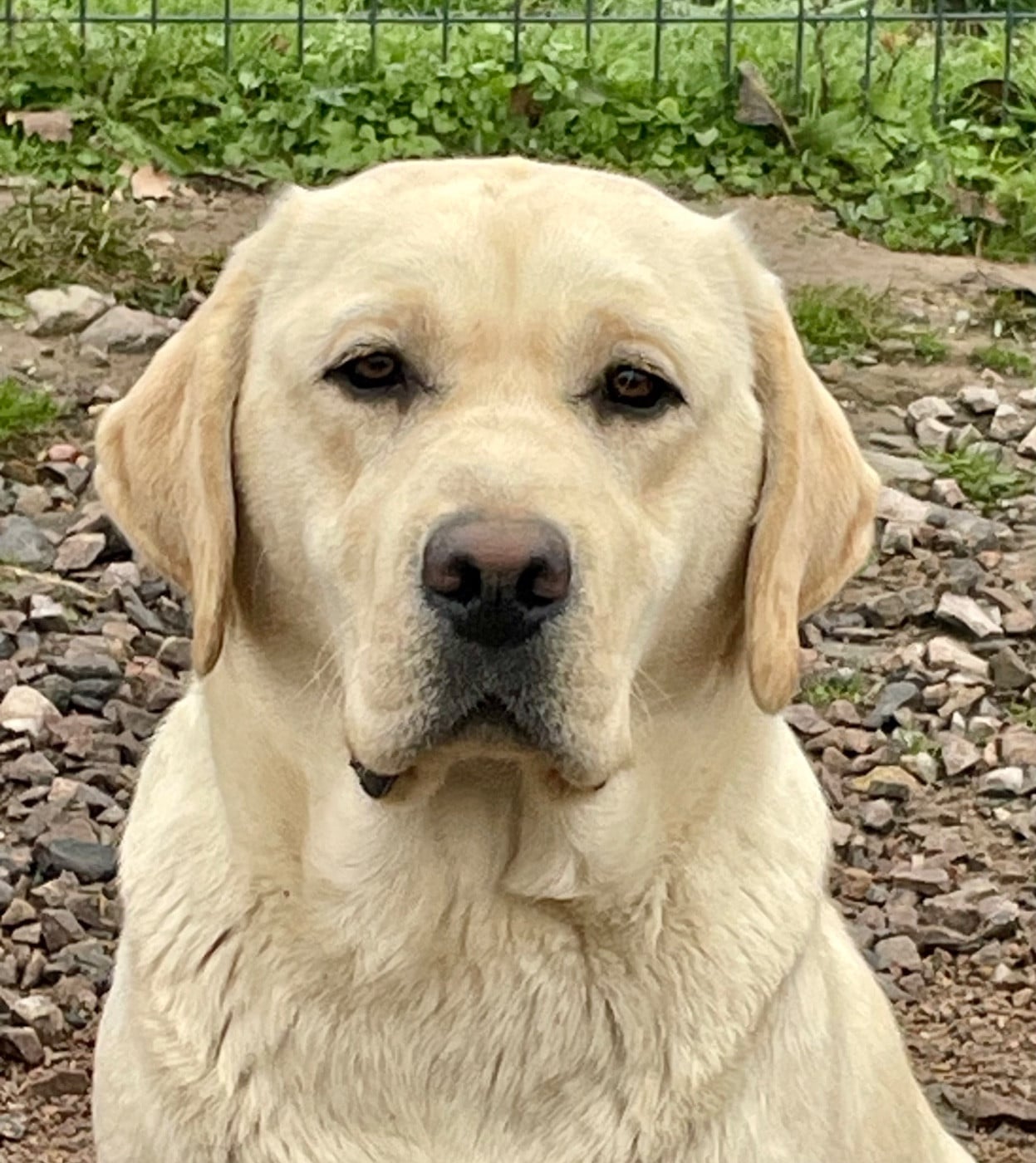 Publication : Du Moulin Sault 