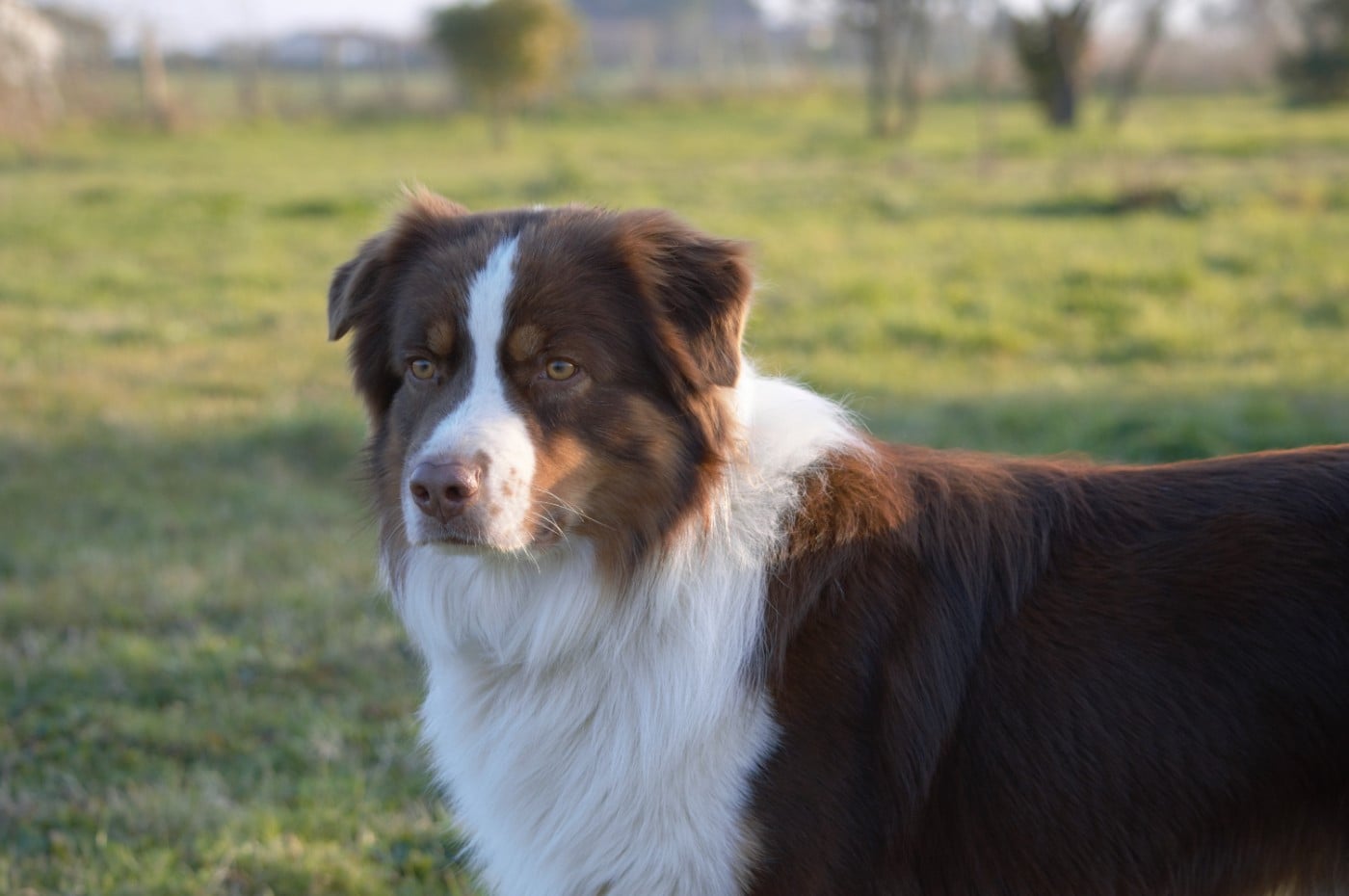 Ultra chic L’Opalyne Des Pierres Précieuses