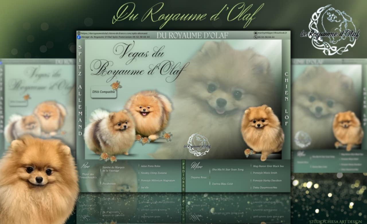 Publication : du Royaume d'Olaf 