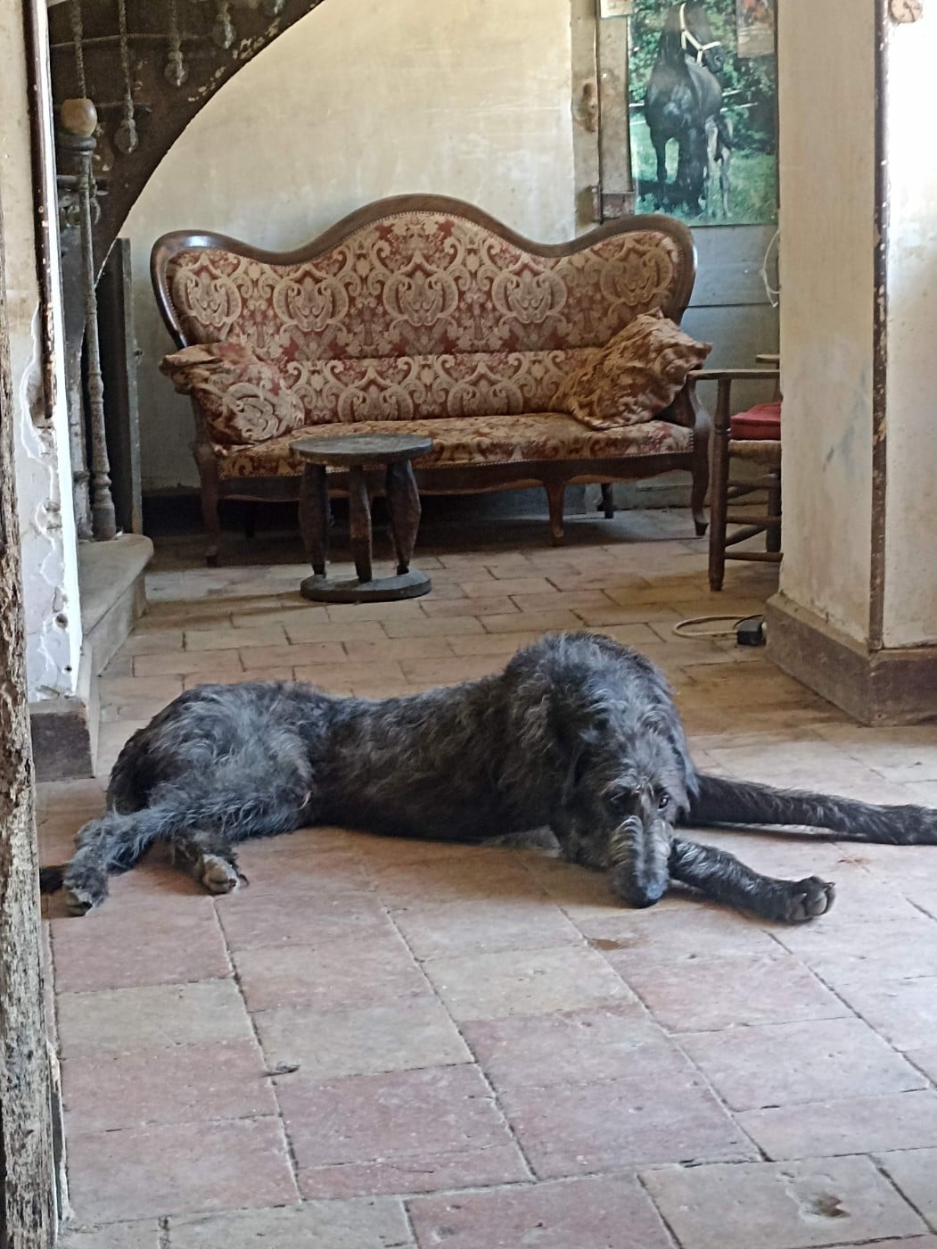 Valinor at d'ardalië of Muma