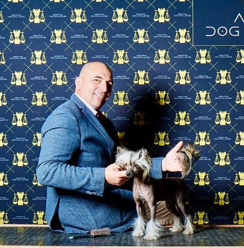 Publication : Wild Night's Auteur : Aequitas Dog Challenge