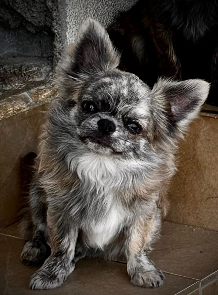 Publication : Des Anges d'Agapi