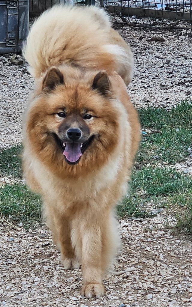 Publication : De Jereylle