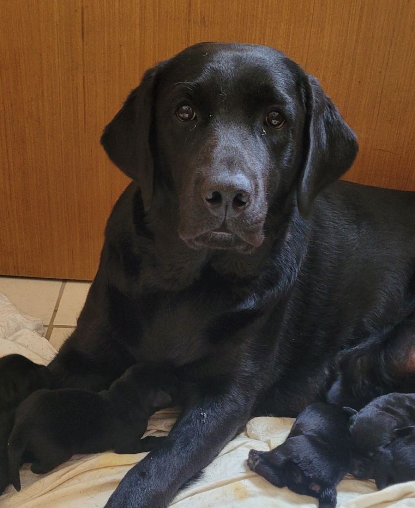 Publication : Des terres sacrees Auteur : Christelle woivre