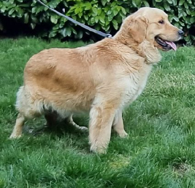 Romy des hirondelles du voyage