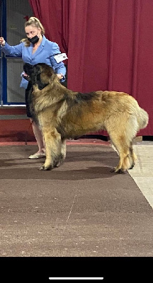 CH. lempileijonan Harun el pullah