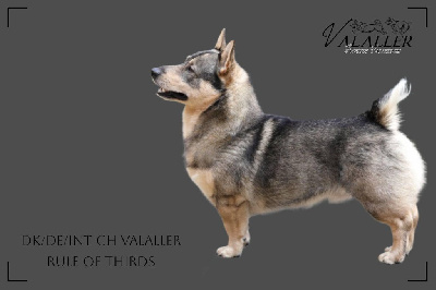 CH. valaller Rule of thirds