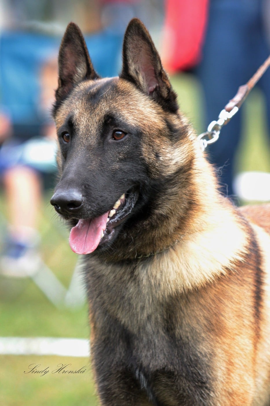 Publication : maski du van lappeenranta Auteur : PL