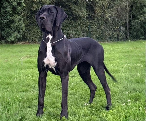 Publication : du clos du bonheur