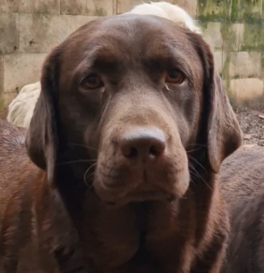 Ursula Des terres sacrees