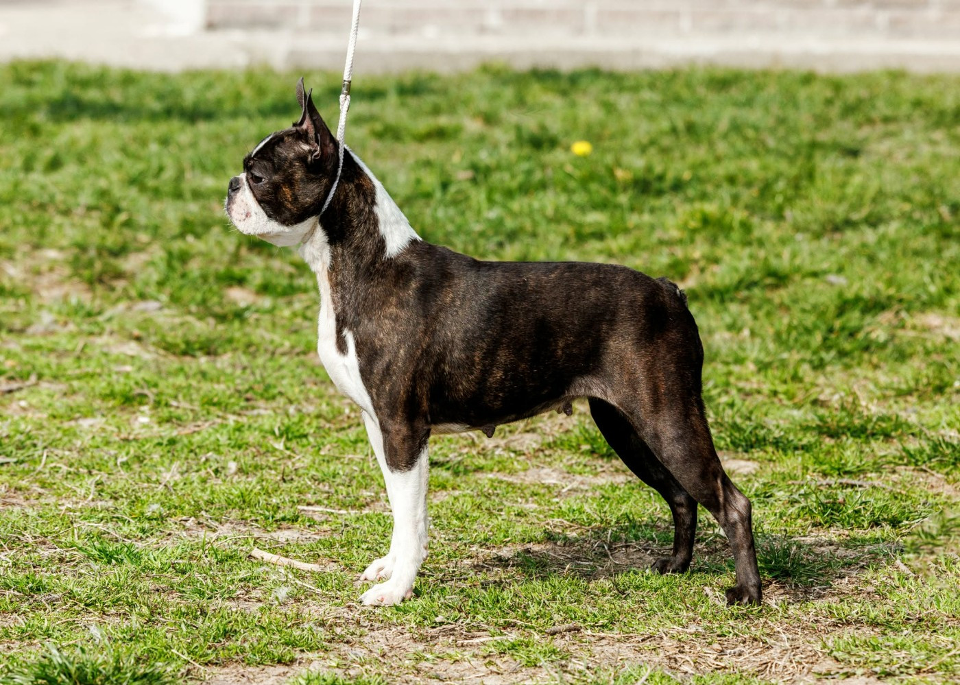 Ever Single Touch magic