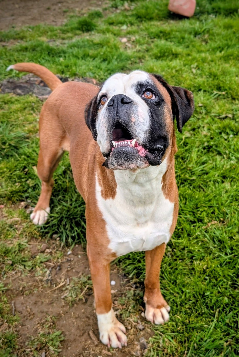 Publication : De La Vallée Des Borderies