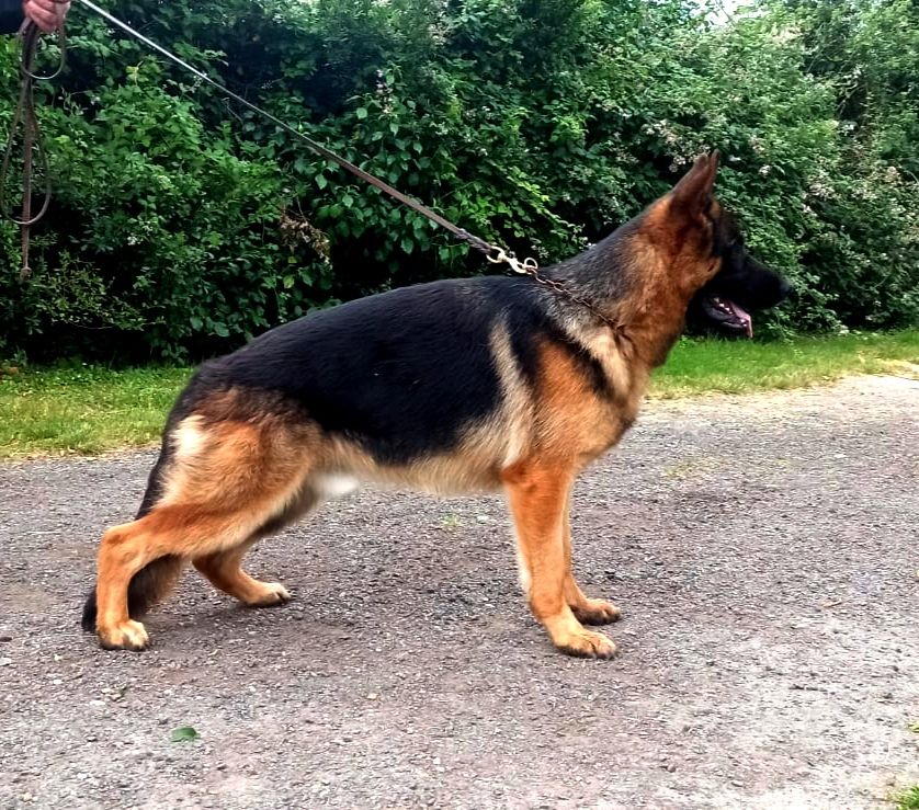 Publication : Casa De Nall