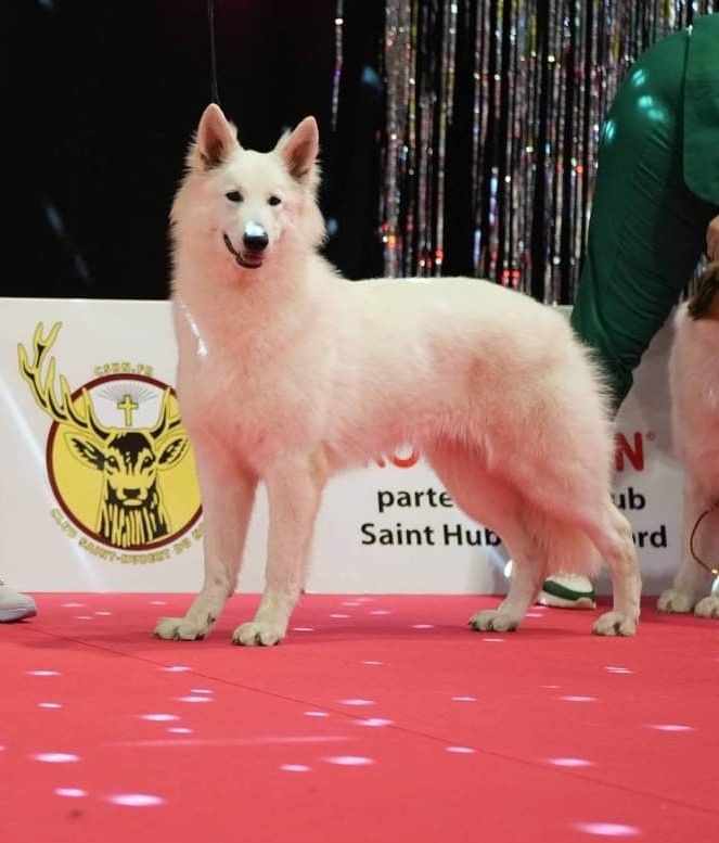 Publication : Du Moulin De Beuvry Auteur : NATHALIE THIERRY