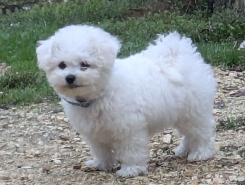 Publication : du Domaine De La Loutre Blanche 