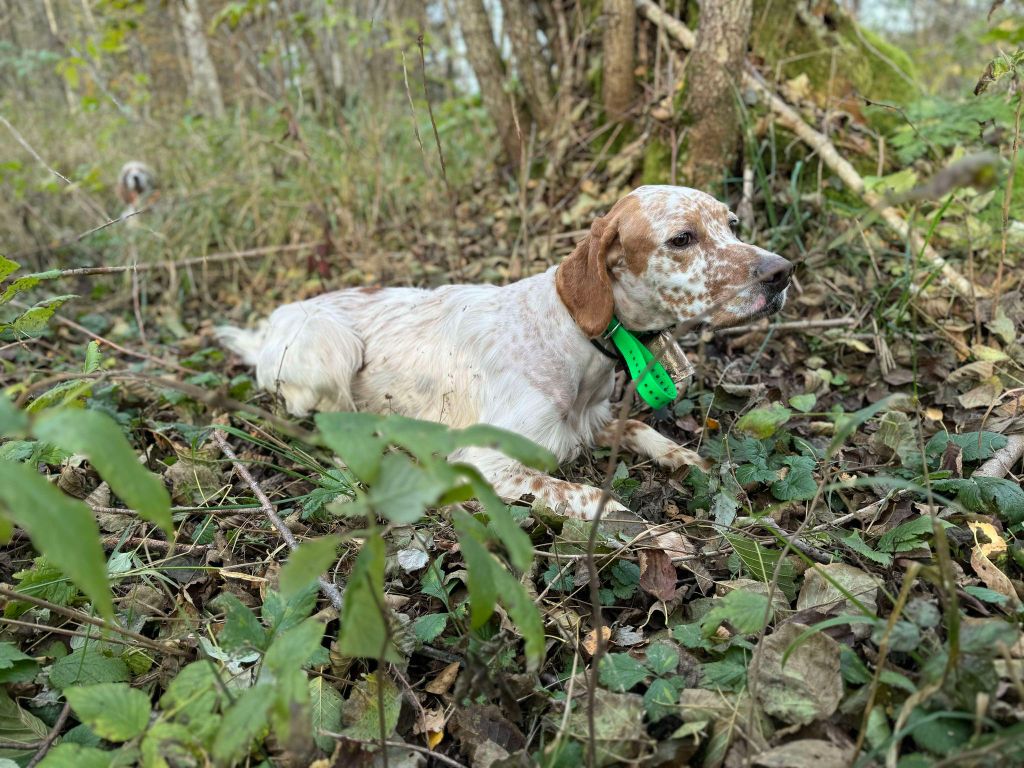 Publication : des Cabanes Tchanquées Auteur : DAVID AVRIL
