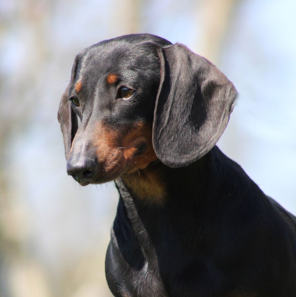 Publication : de l'air salin