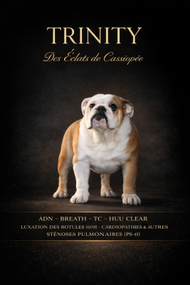 Trinity Des éclats De Cassiopée