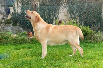 image de That's maya de