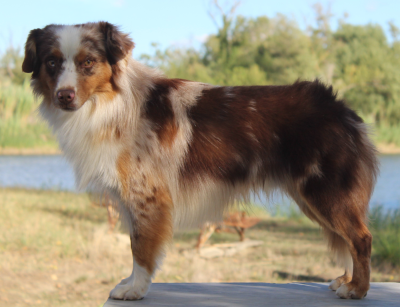 image de TAO - Under the moonlight