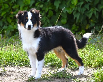 Un flirt avec toi De La Folle Emprise