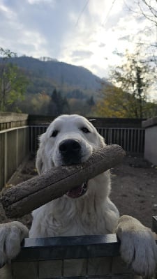 U'wonka Du rivage des mille etangs