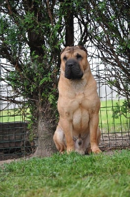 Umeira okeanos Of Papoupei's World